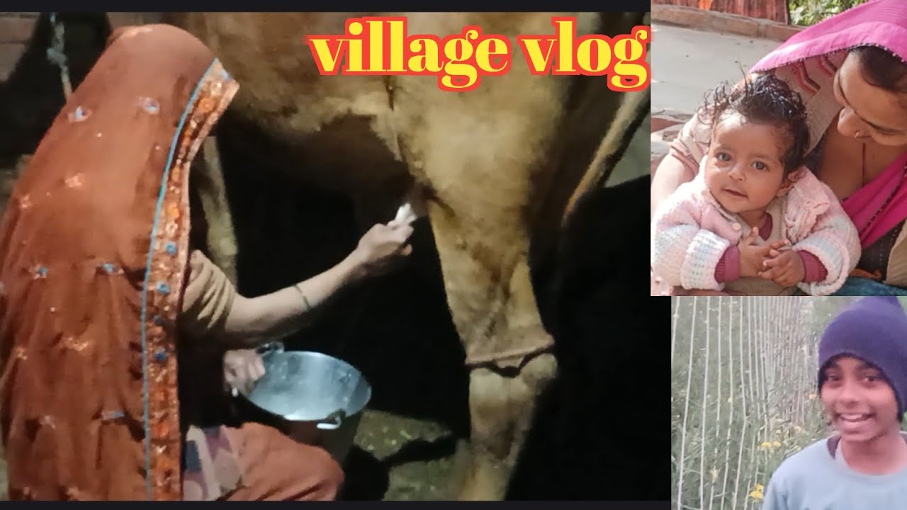 Cow Milking  // Village Life Vlog 🔥गाय का हाथ से दूध निकालने का वीडियो #vlog#millking 