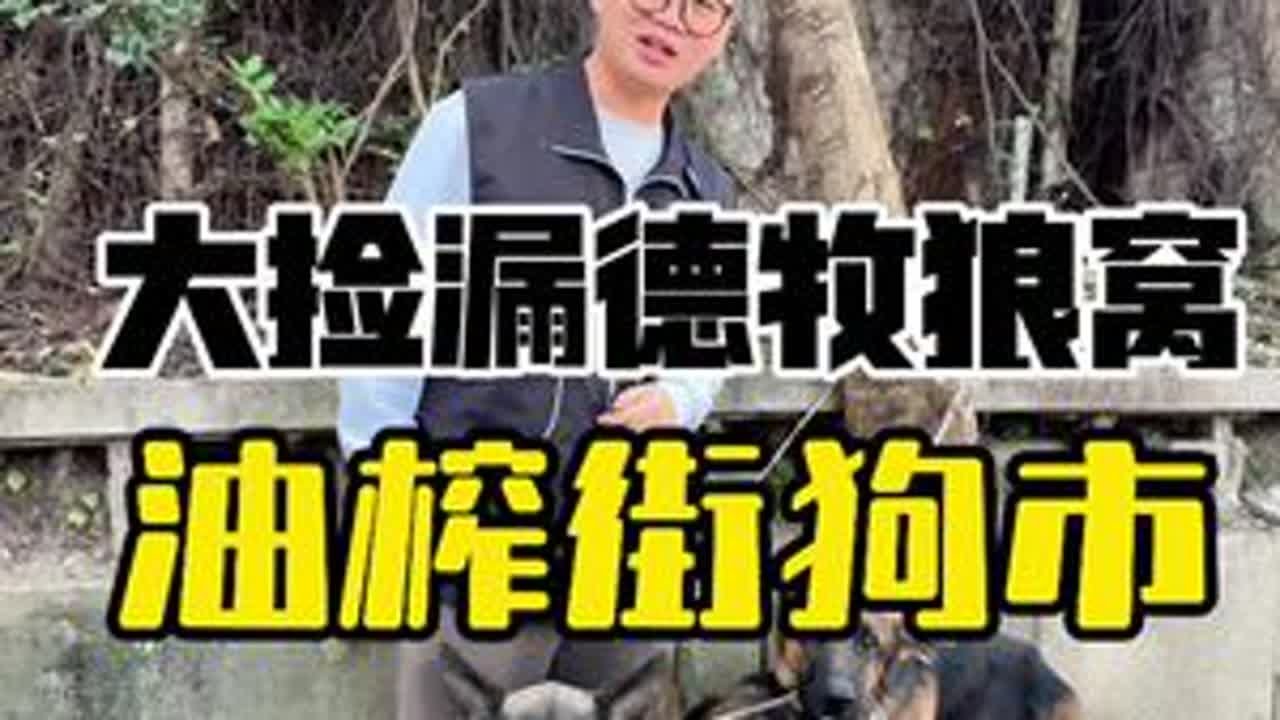 #萌宠 #狗市 #狗狗 油榨街狗市，贵州贵阳云岩区最大的宠物市场 猫狗的聚集地 #德牧犬 #贵阳狗市