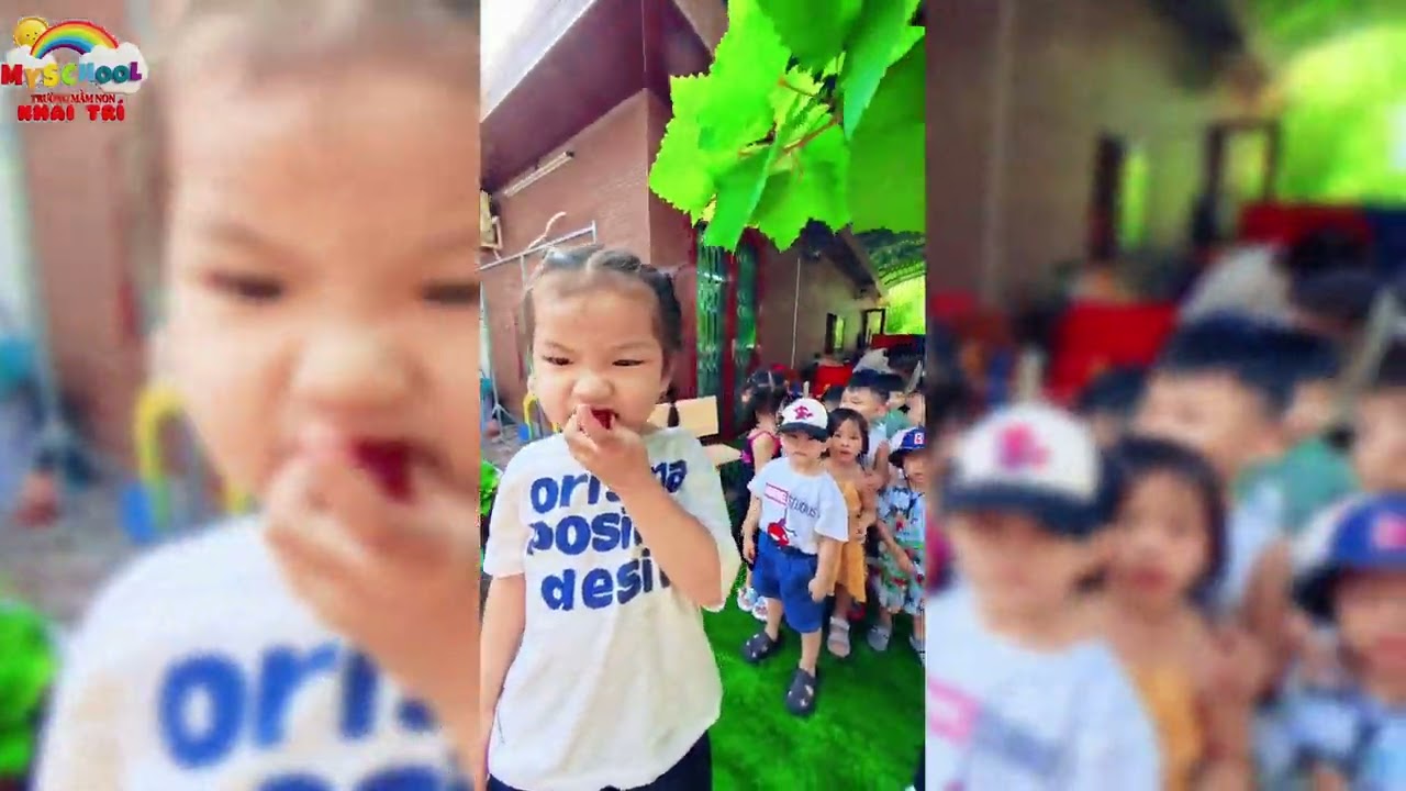 Khai Trí P7 Các bé Mầm 1 thích thú thu hoạch nho và bí xanh tại vườn cùng cô và các bạn