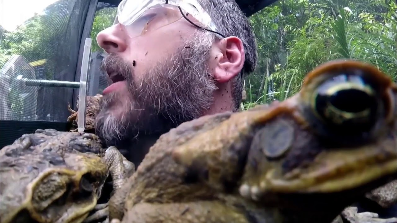 Iain Lee in the Dreadful Departure Lounge  - i'm A Celebrity