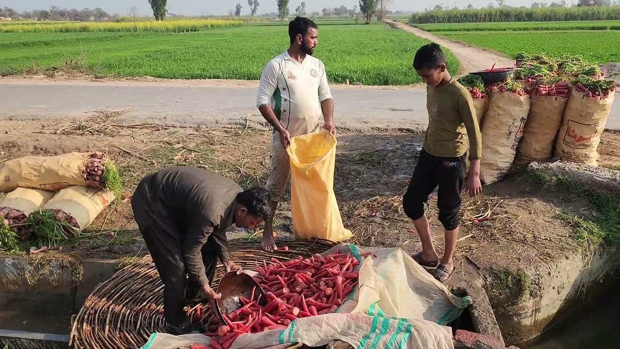 Desi method of carrots 🥕 cleaning♡♡♡♡◇◇◇◇