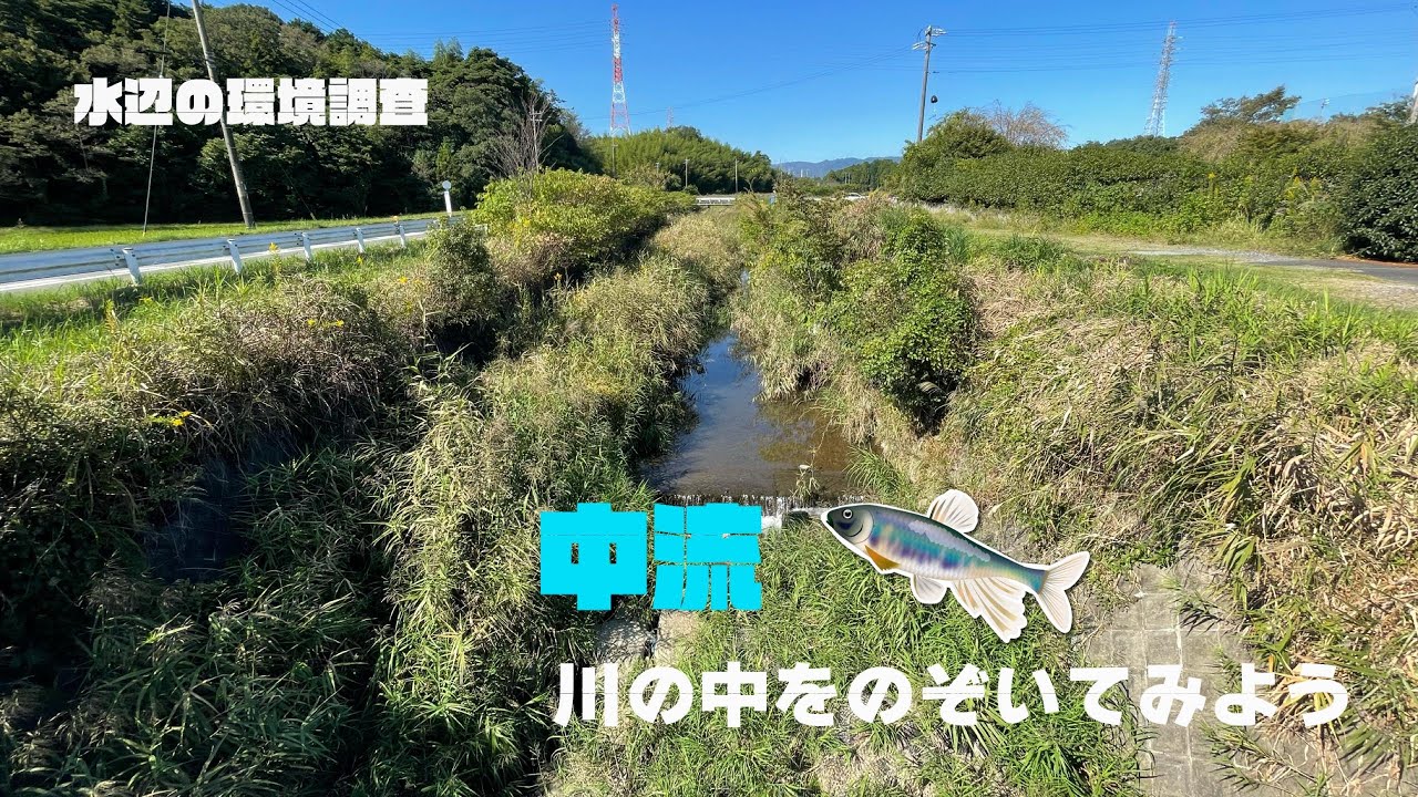 水辺の環境調査2021　嘉例川中流の水中その①