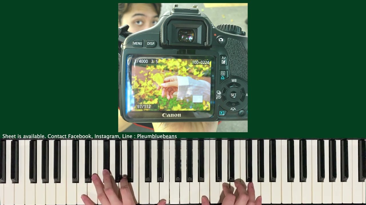 ผู้ถูกเลือกให้ผิดหวัง(ดอกไม้ฤดูหนาว) - เรนิษรา (Piano Cover) | Bluebeans