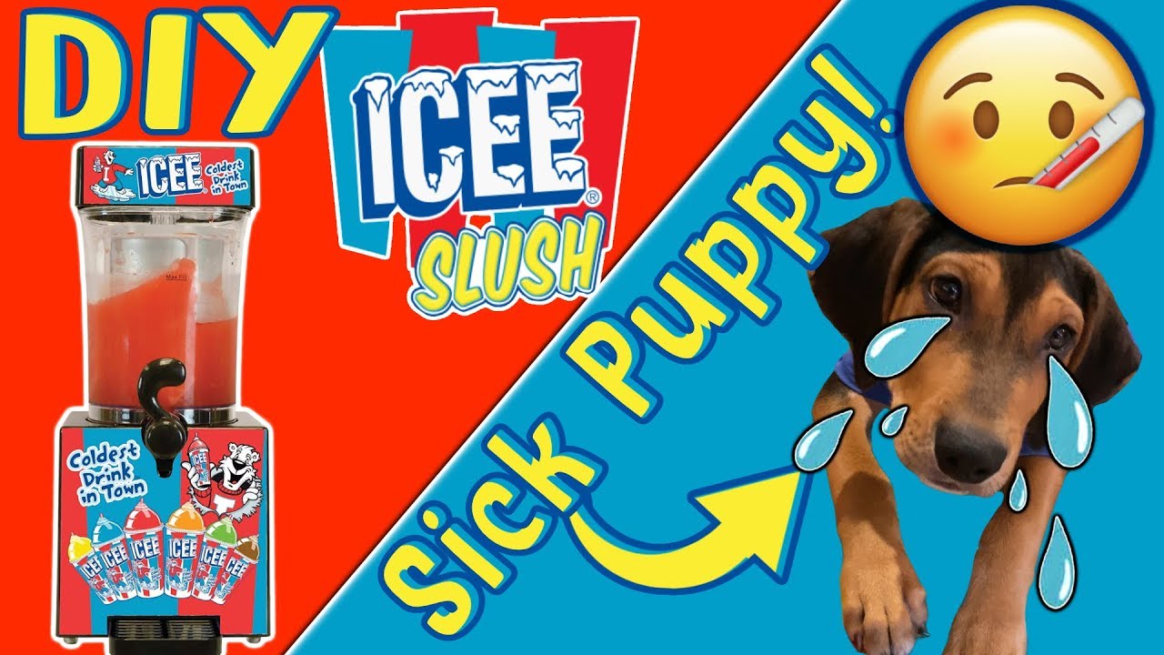 How To Make An Icee At Home! DIY Icee (Slushee) Machine + Meet Our New (Sick) Puppy! Young Wild Me!