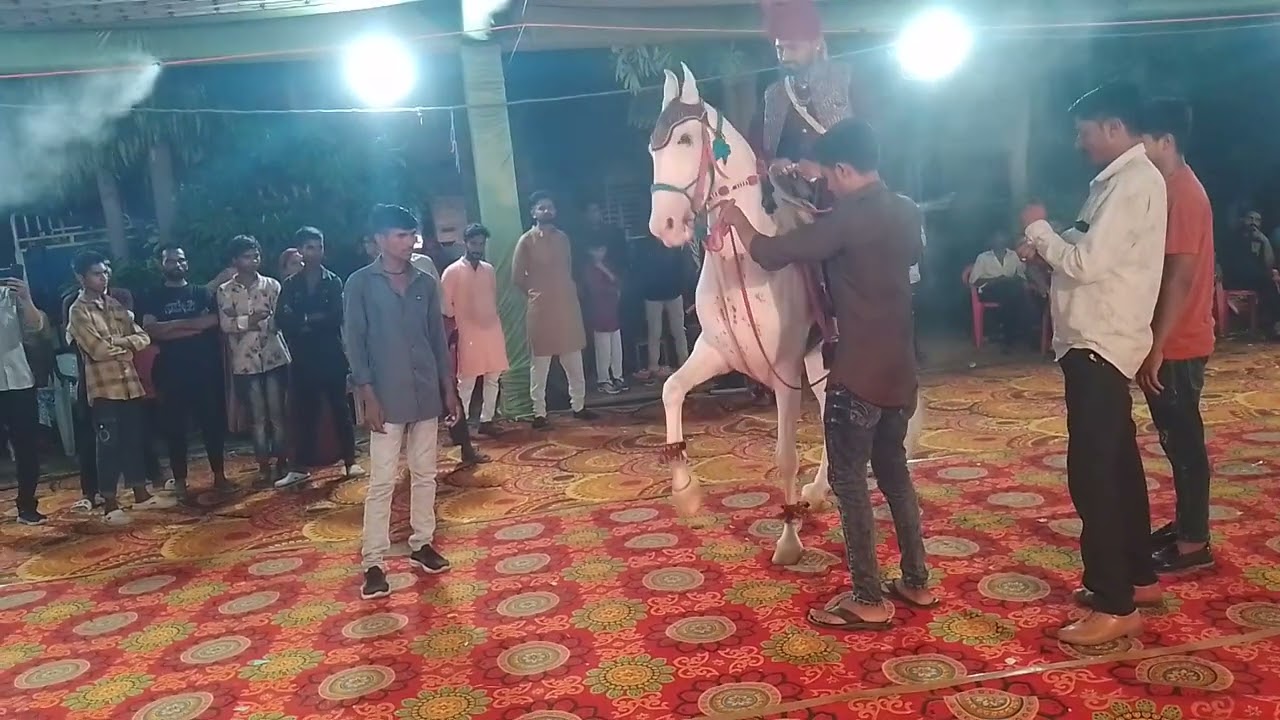 રાજા તોરલ અશ્વ ફાર્મ હાઉસ રાનેર ની મોજ