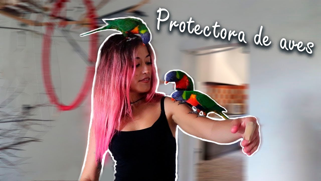 Visitamos una protectora de loros | El Nido (Málaga)