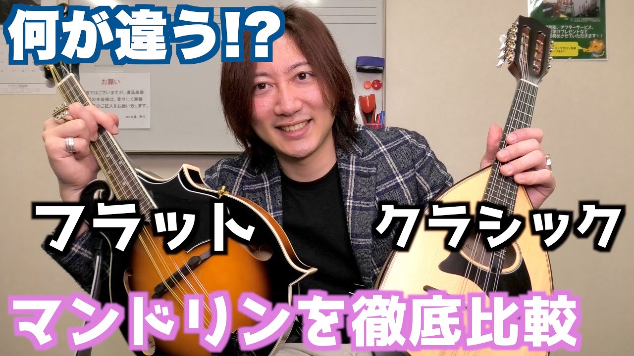 クラシック(ラウンド)マンドリンとフラットマンドリンの違いを比較してみた【初心者向け】