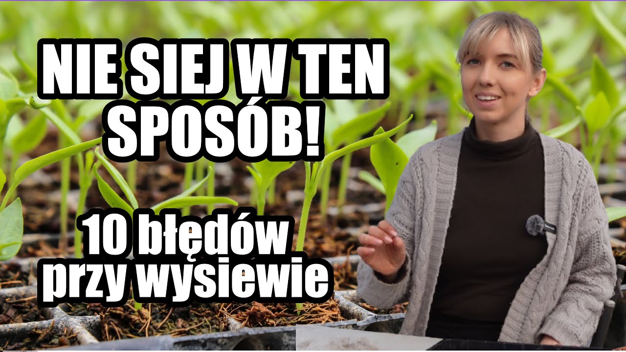 Nie popełniaj tych błędów! Jak poprawnie wysiewać nasiona