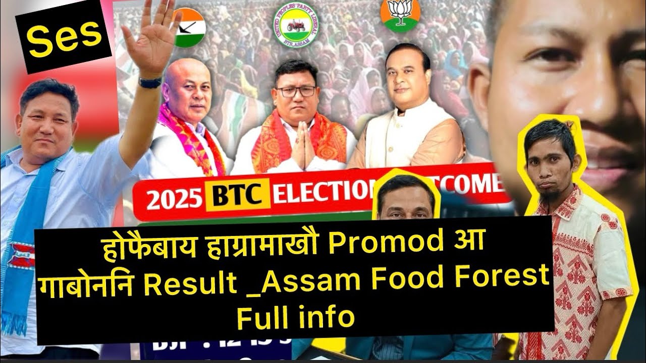 होफैबाय हाग्रामाखौ Promod आ गाबोननि Result _Assam Food Forest _Full info