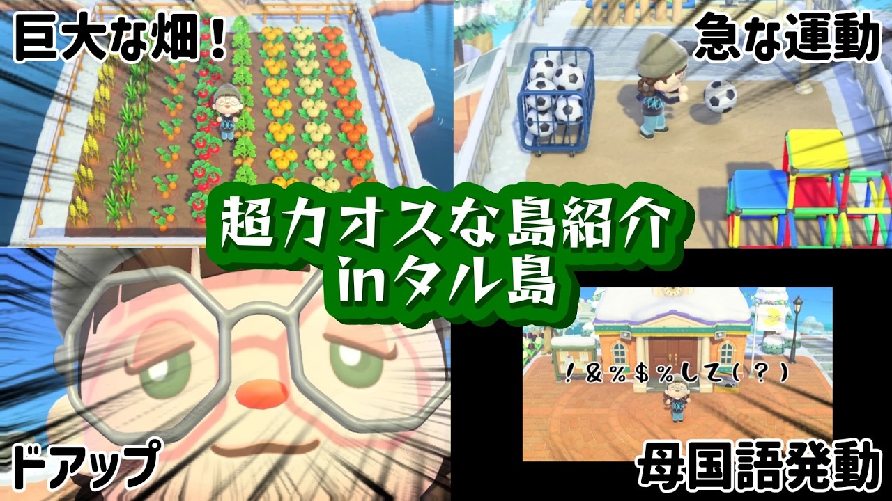 【あつ森】【アフレコ】超カオスな島紹介！㏌タル島🌙