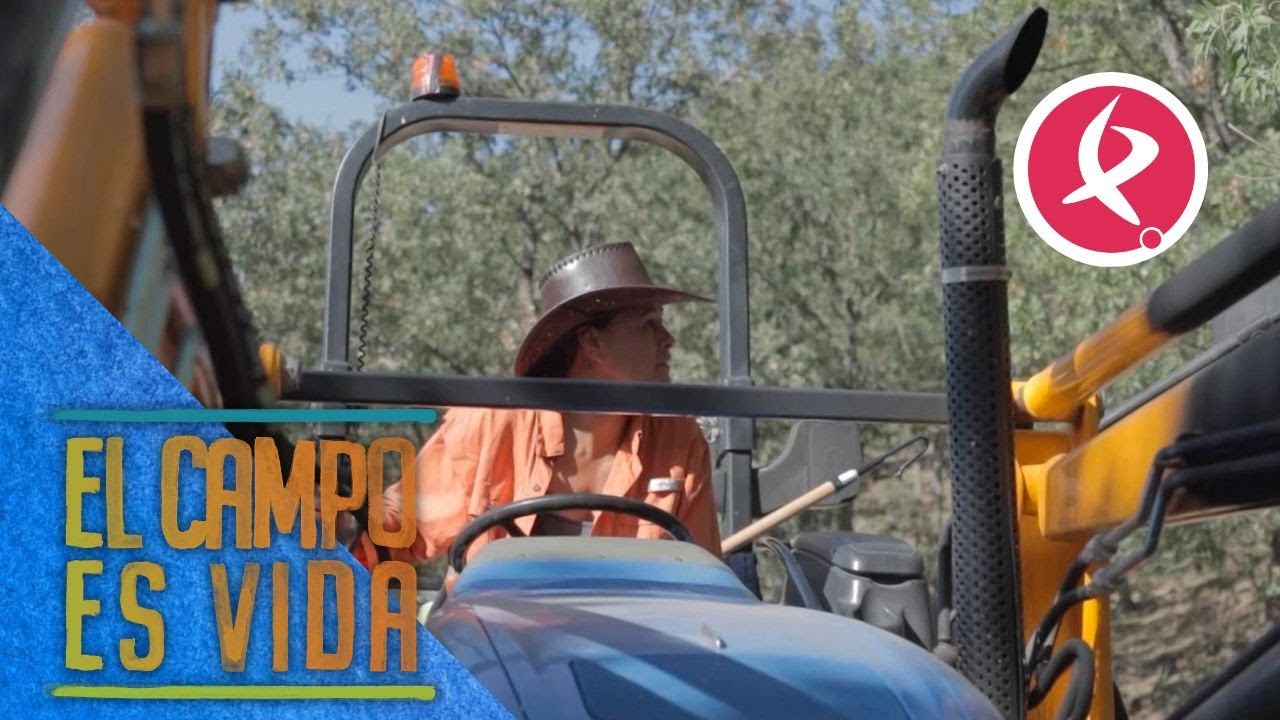 Rosane recurre a San Cucufato para encontrar a sus ovejas | El campo es vida