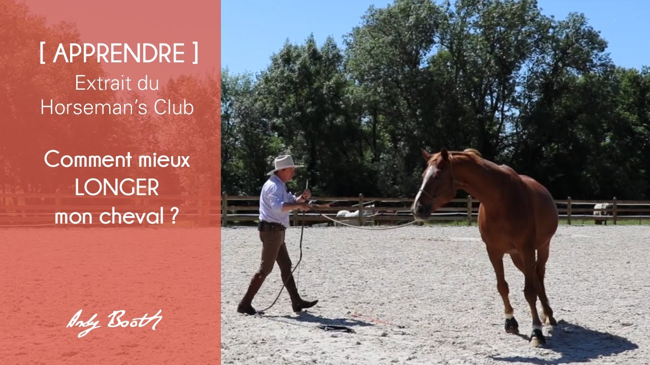 [APPRENDRE] Comment faire pour mieux longer mon cheval ?
