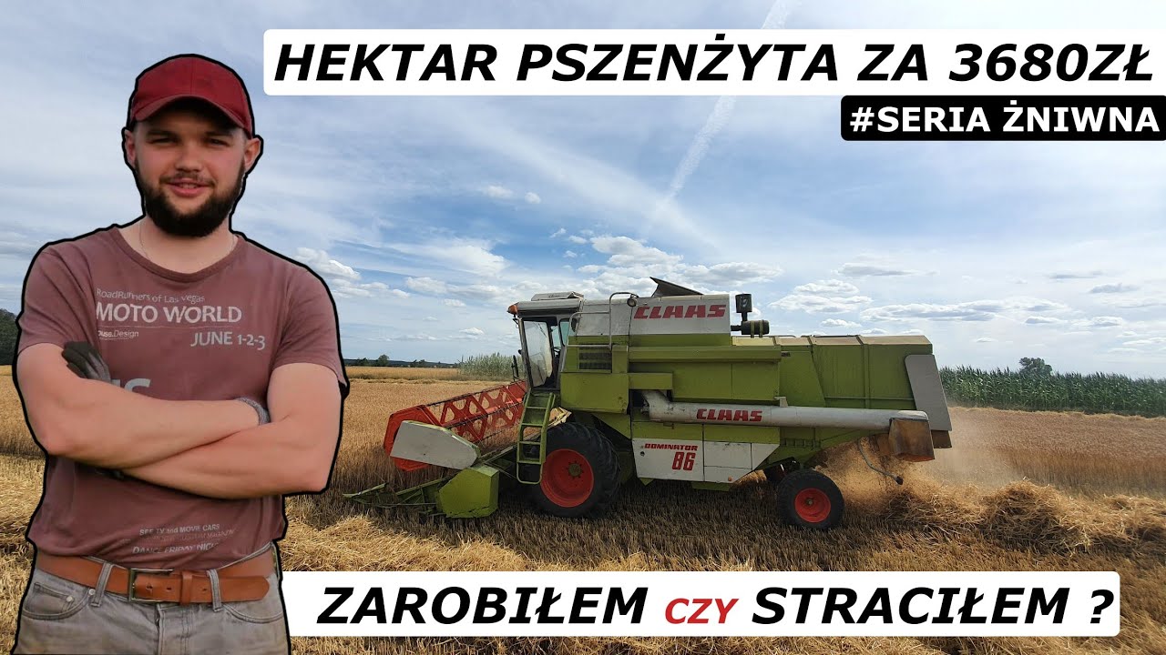 JAK SYPIE PSZENŻYTO W 2022 ?  SZACUNKOWE WYNIKI PLONOWANIA
