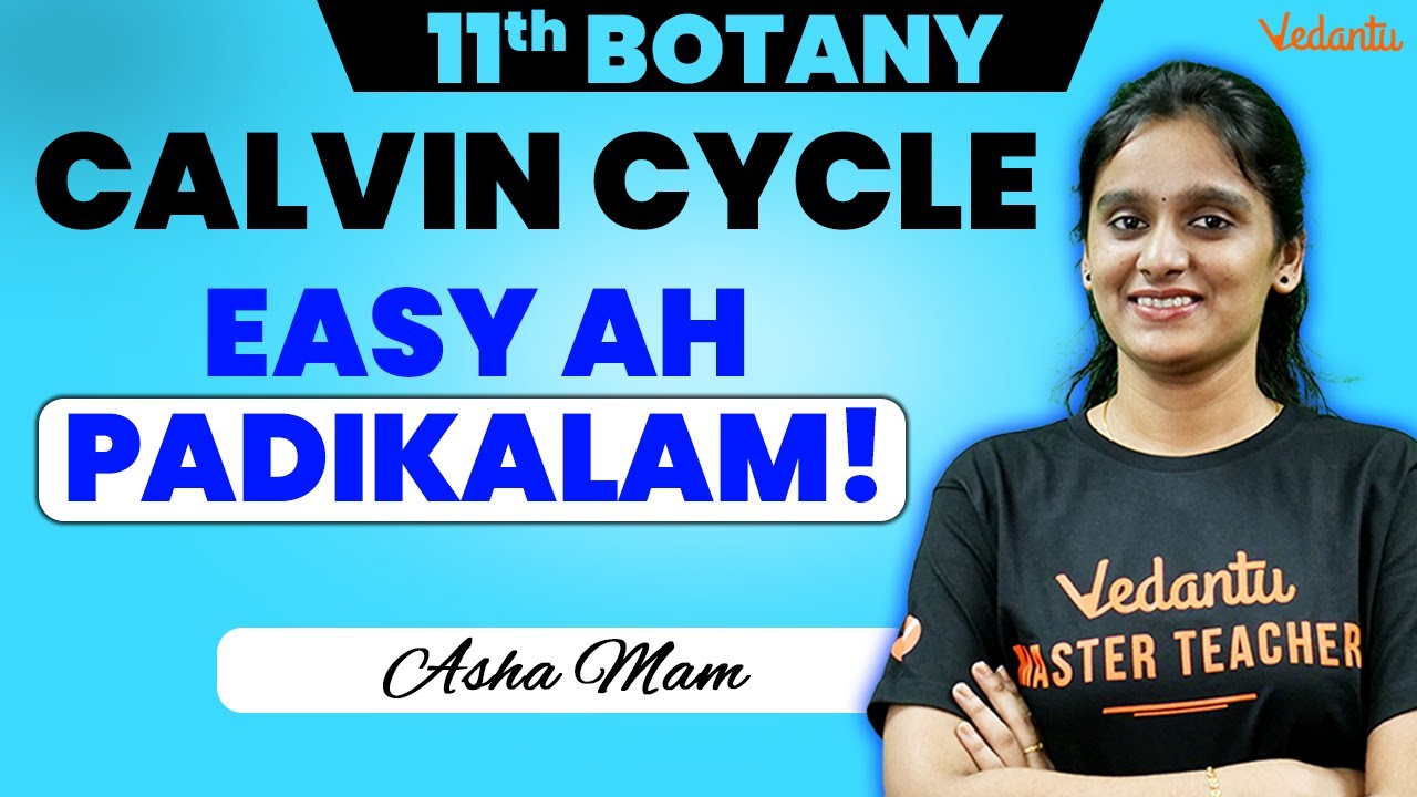 11th Botany | Calvin Cycle | Half Yearly 2024 | Asha Ma'am