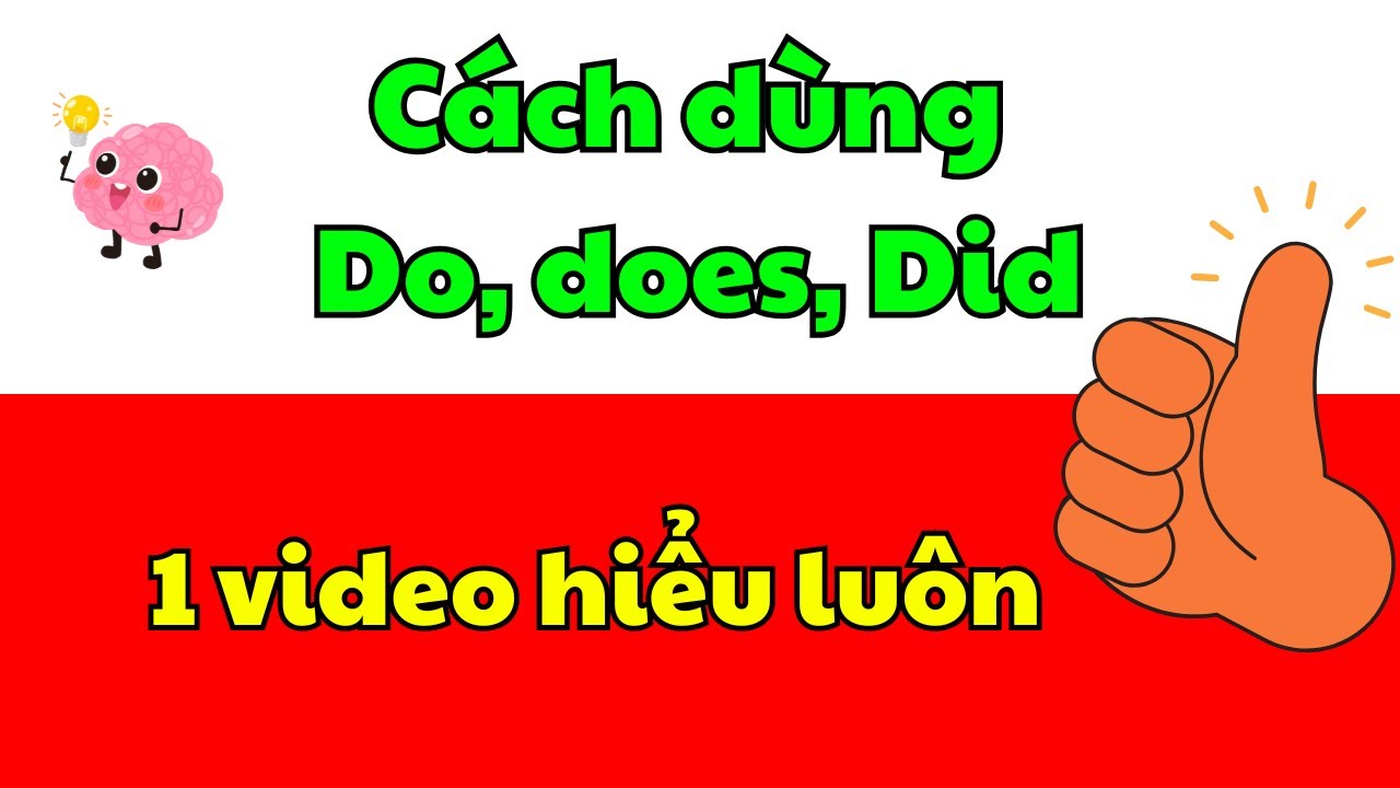 Cách sử dụng Do Does Did | Ngữ pháp căn bản | Phân biệt cách sử dụng trợ động từ Do Does Did