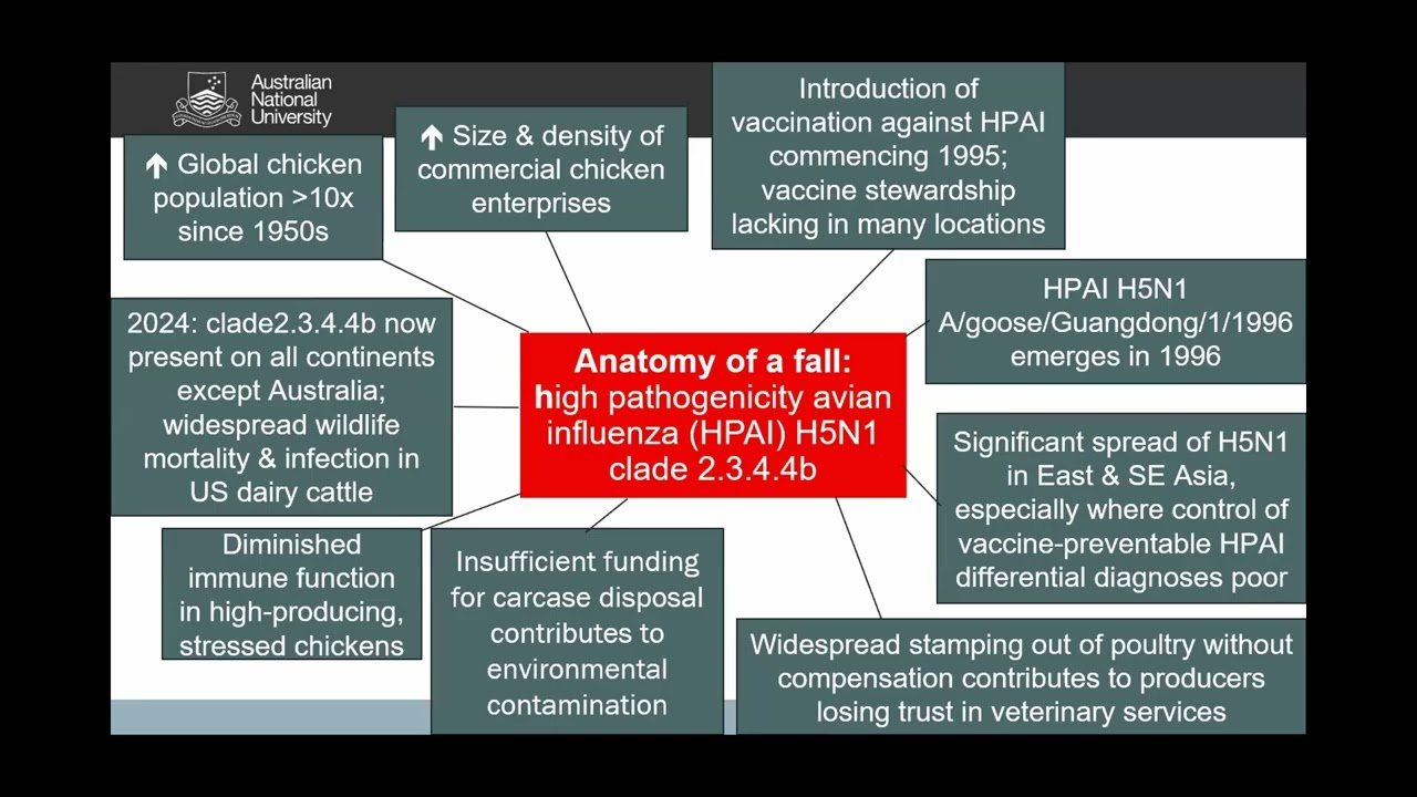 Webiner on Avian influneza Preparedness