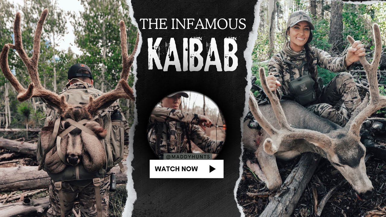 The Infamous Kaibab