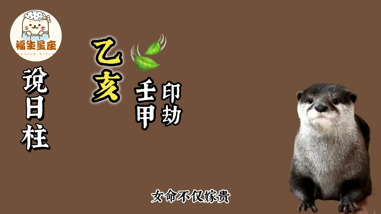 12【福生說六十日柱】乙亥日柱|解讀乙亥人的的婚戀觀與人生觀