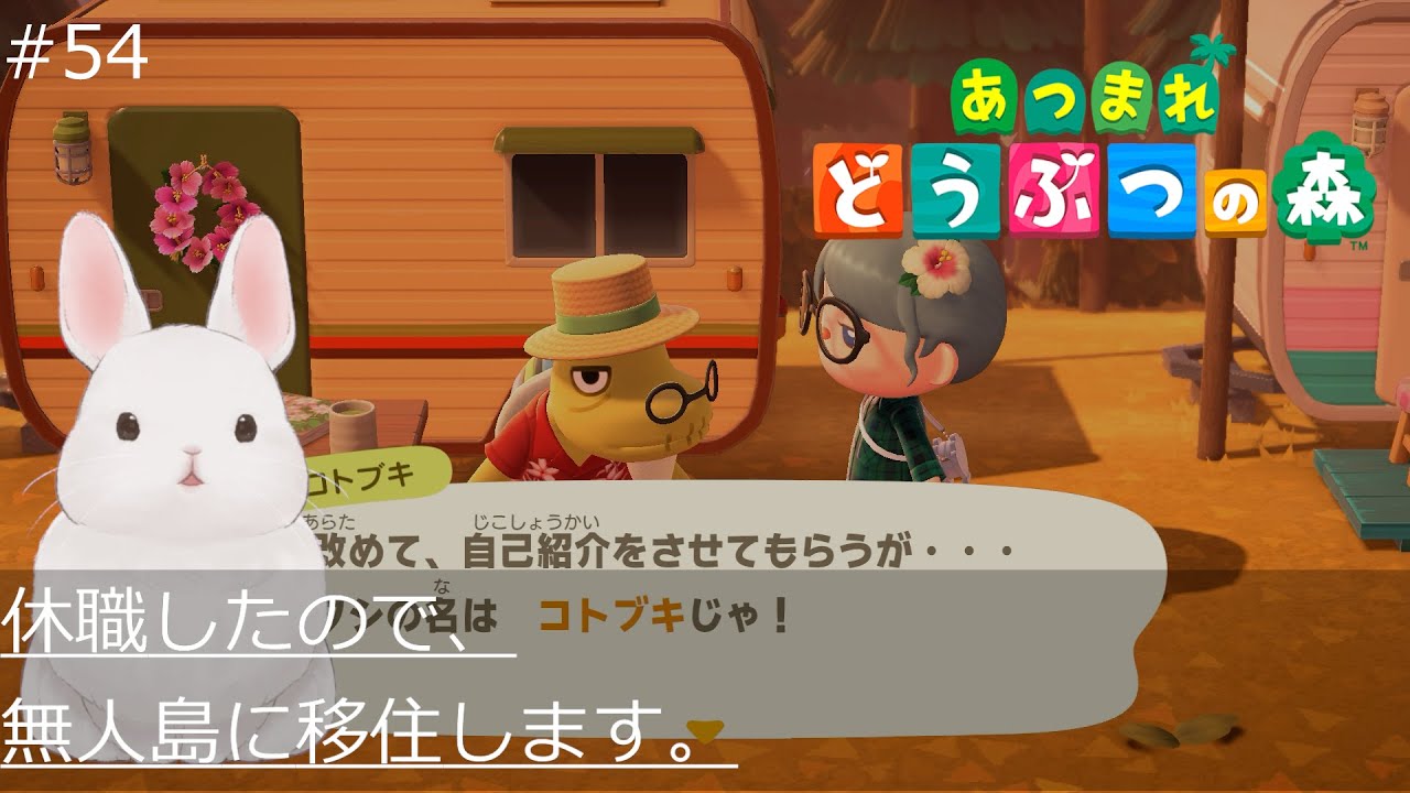 【Animal Crossing】Explore the island in December! What? I'm going to be the Island Creator?!【#54】