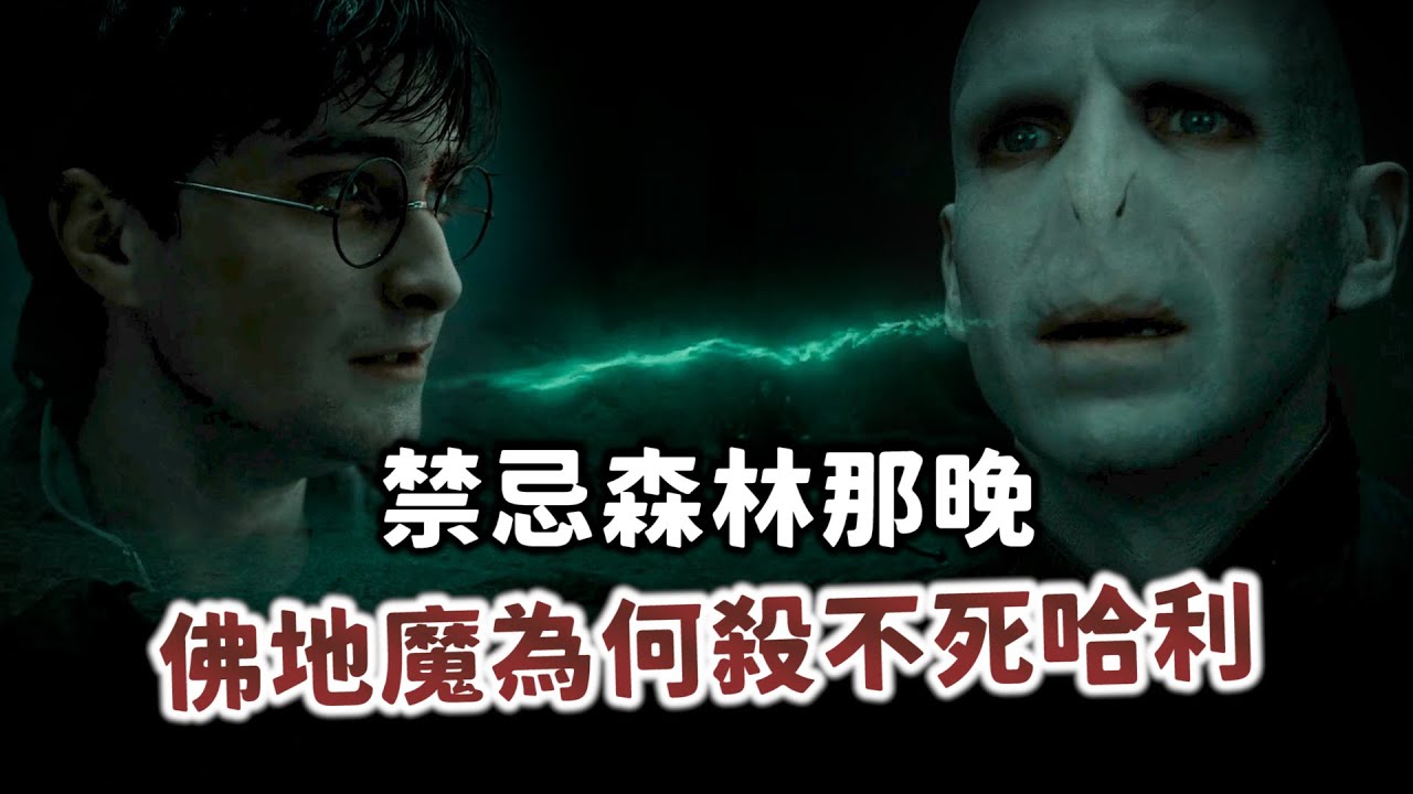 哈利沒死絕非奇蹟！禁忌森林那晚，佛地魔究竟哪裡搞砸了？【哈利波特透視鏡】#56|奇幻圖書館