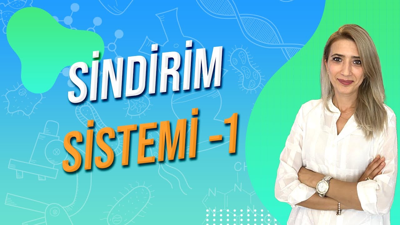 Sindirim Sistemi -1 | Seda Hoca Biyoloji ( 9. Ders ) #sedahocabiyoloji #ayt2024