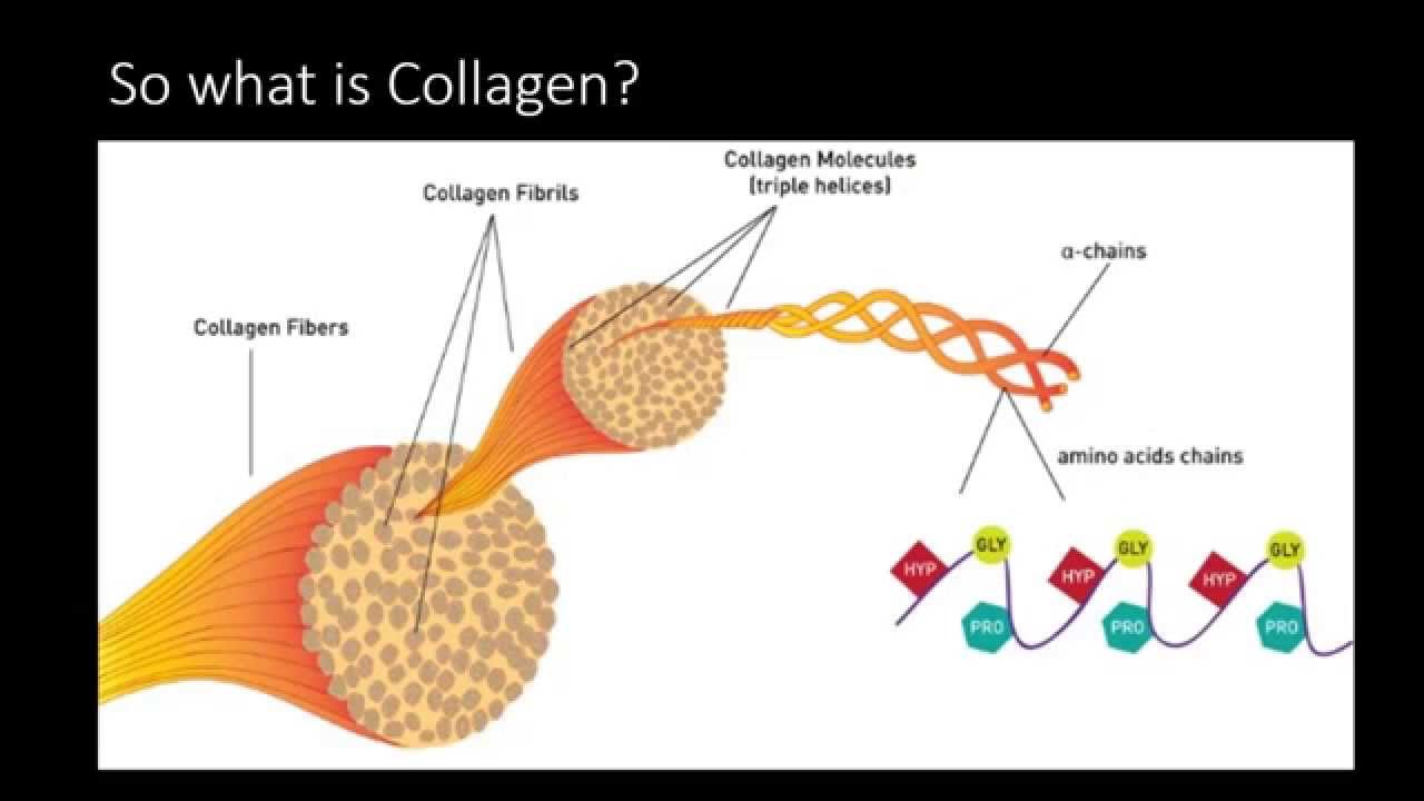 Collagen The Secrets to Healthy Beautiful Skin   Bay Area Pelleve
