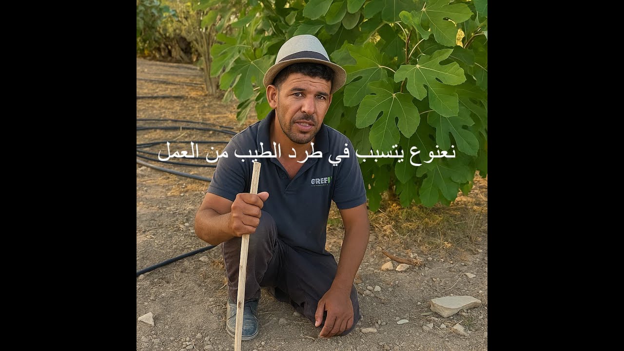 نعنوع قال للحاج الطيب راه يسرق الزيتون - الحاج و نعنوع