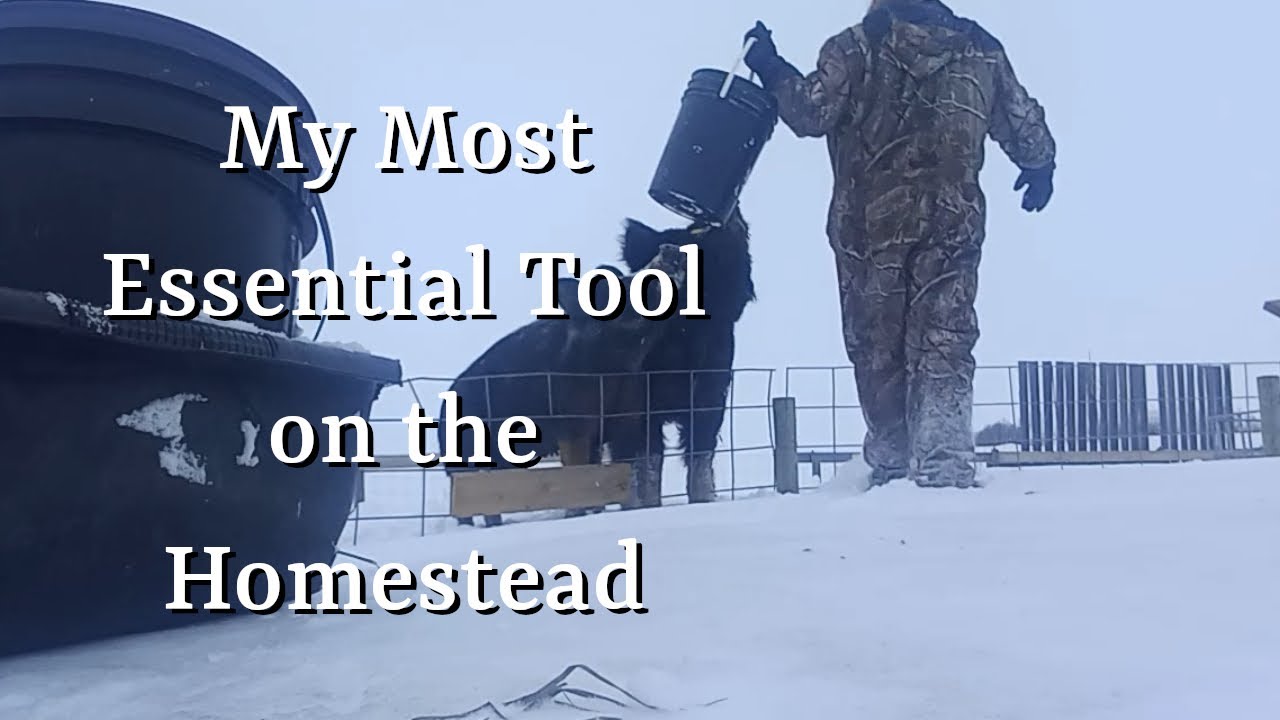 My Most Essential Piece of Equipment on the Homestead