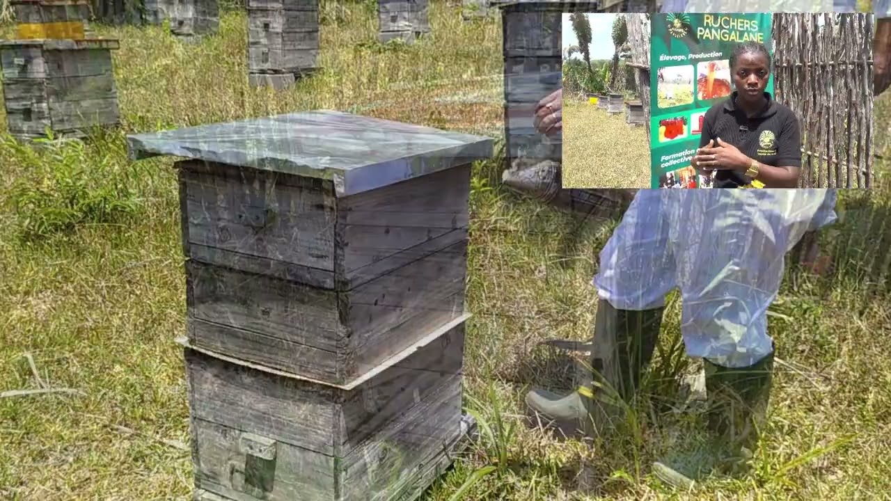 Apiculture à Madagascar : Chrystelle de Manakara