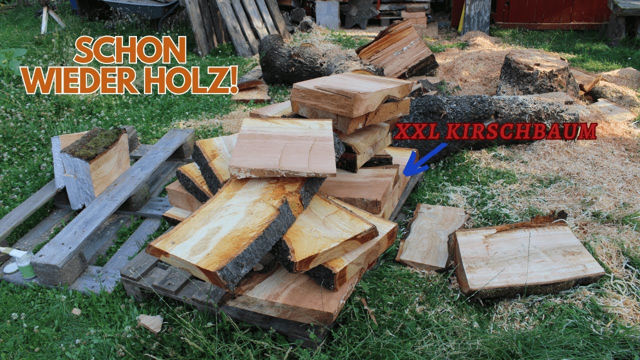 Kirschbaum zu Drechselholz verarbeiten