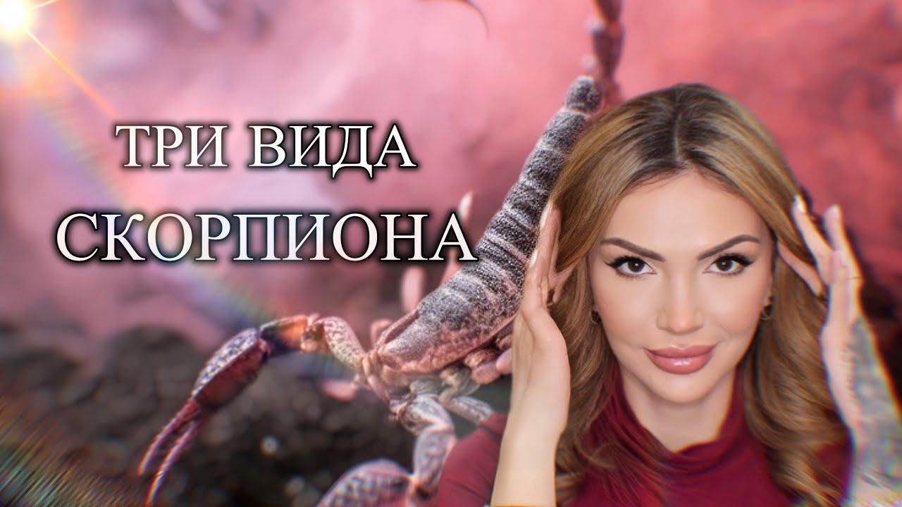 Три вида Скорпионов ♏️ | Три декады знака. 