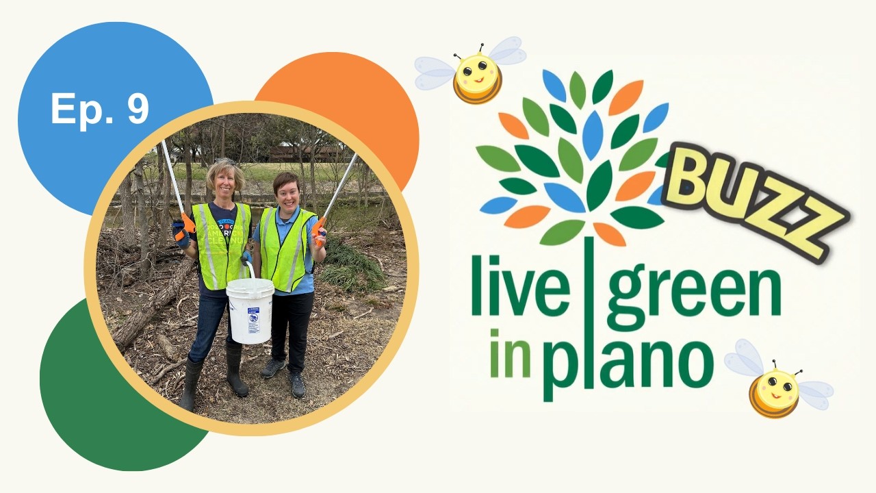 LGIP Buzz, выпуск 9 — Сезон масштабной американской уборки