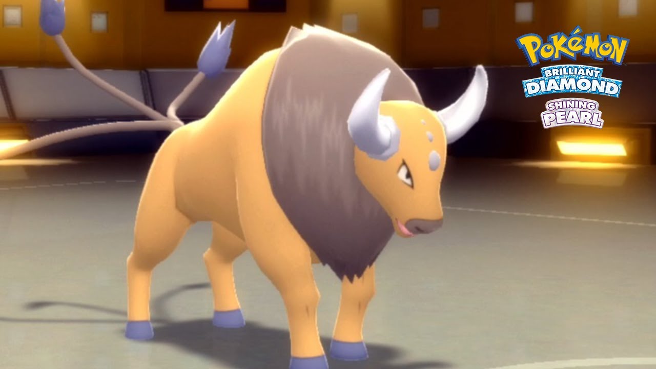 SHEER FORCE TAUROS IS GOOD! Pokemon Brilliant Diamond & Shining Pearl Wi-Fi Battle!