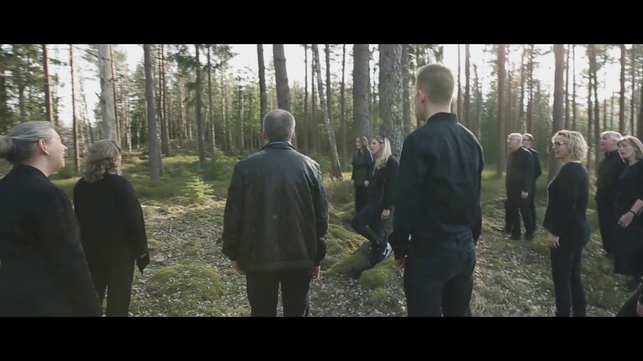 Uti Vår Hage - Hugo Alfvén (Kammerkoret Tourdion)