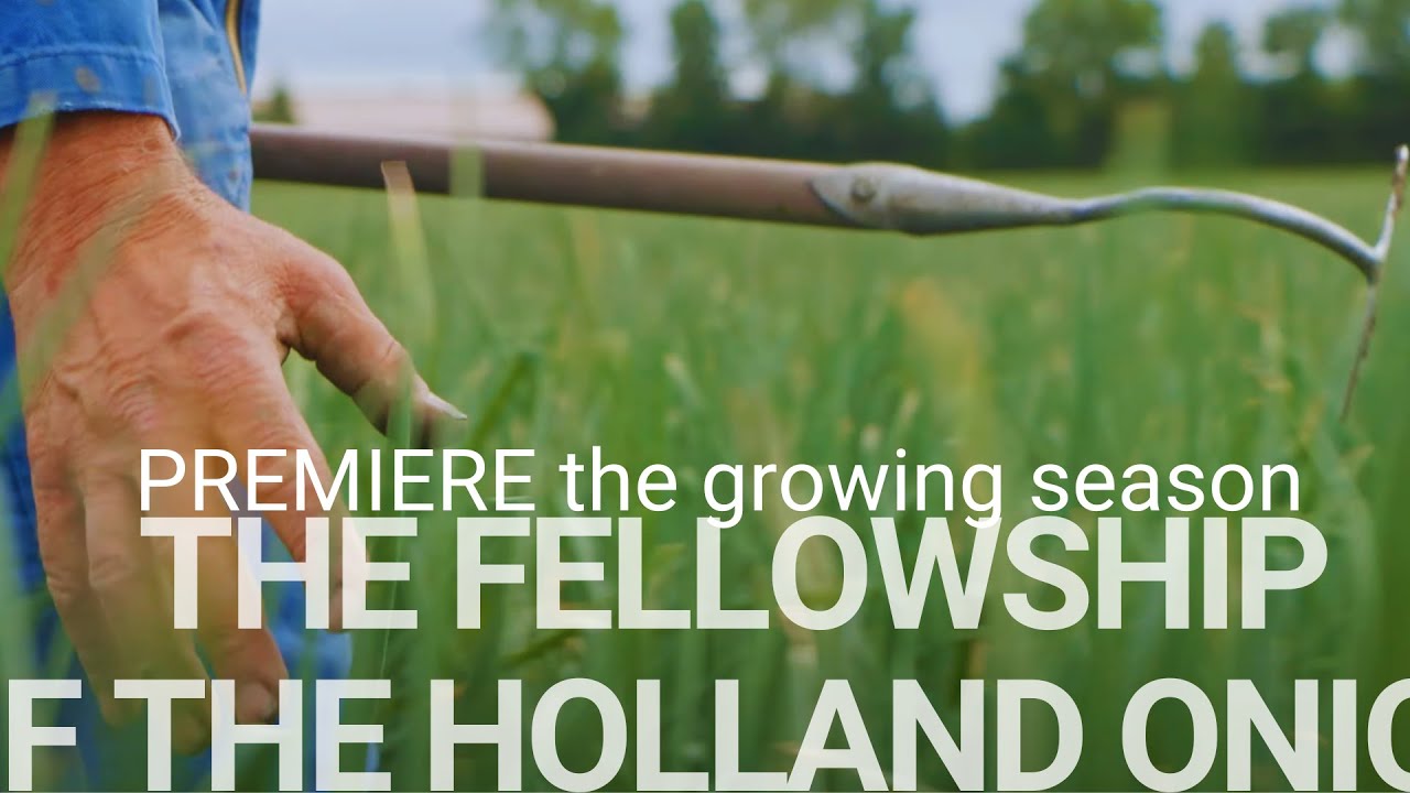 The Fellowship of the Holland Onion - Part 2 (The Growing Season)