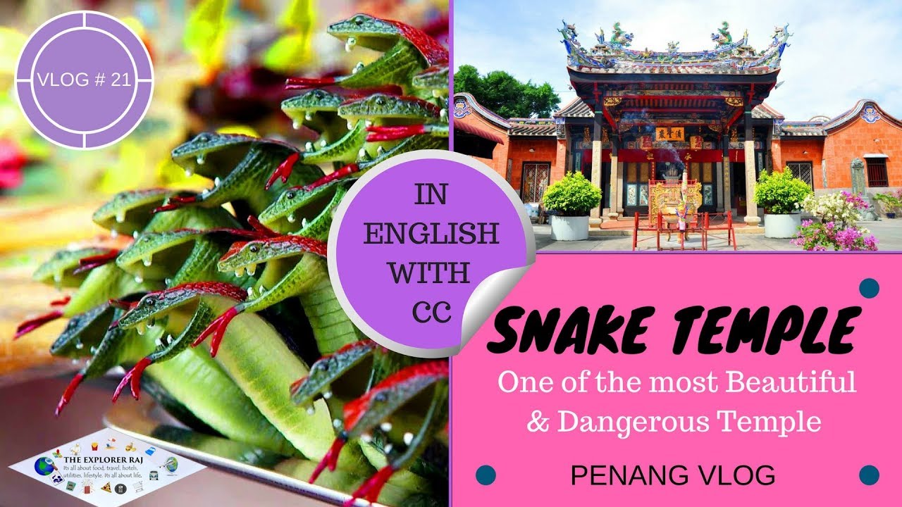 THE MOST DANGEROUS SNAKE TEMPLE | ENGLISH | PENANG - 3