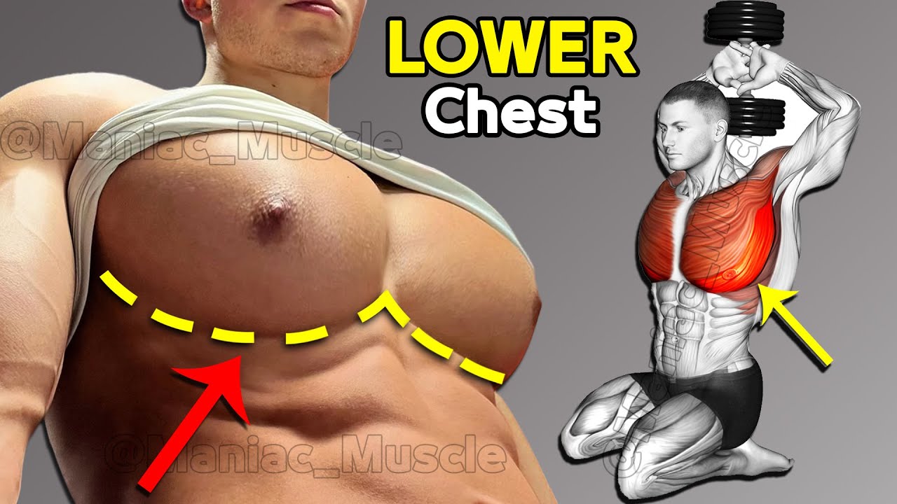 BEST LOWER CHEST Exercises ( Very effective )