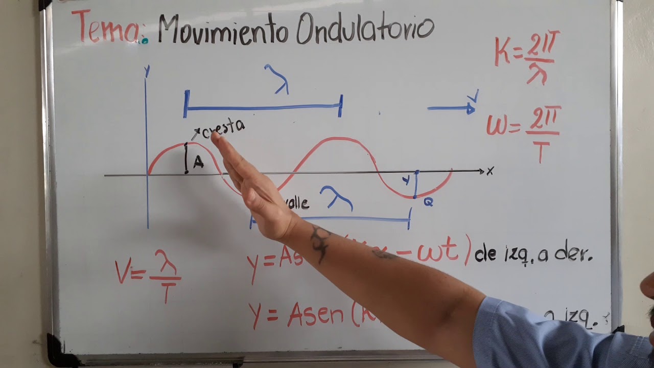 Movimiento Ondulatorio
