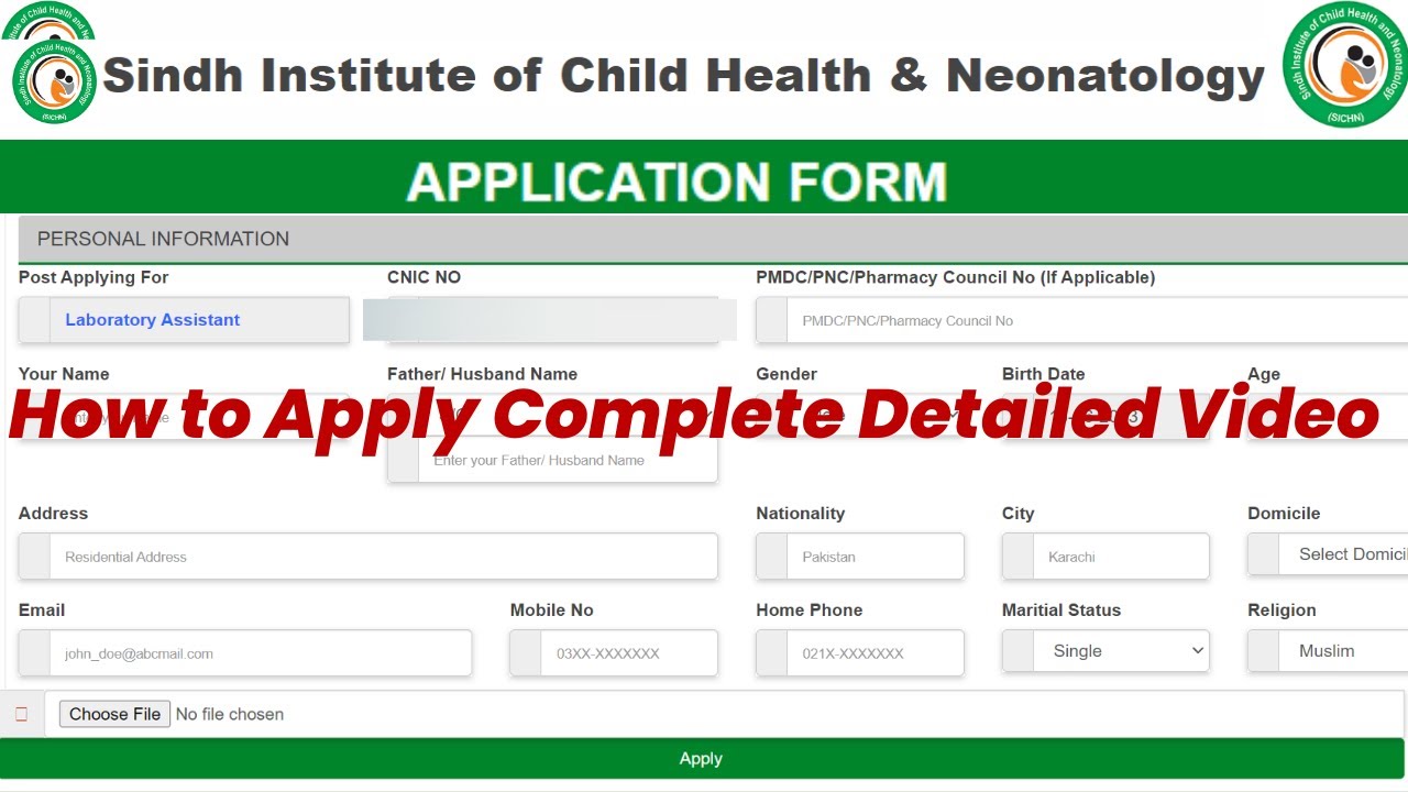 How to Easily Apply for Sindh Institute of Child Health & Neonatology Jobs 2024