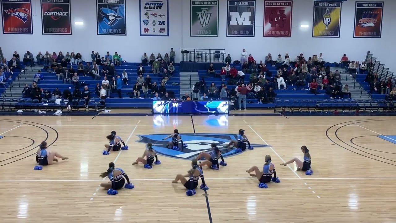 Elmhurst Poms - Nicki Pom Mix 1/4/25