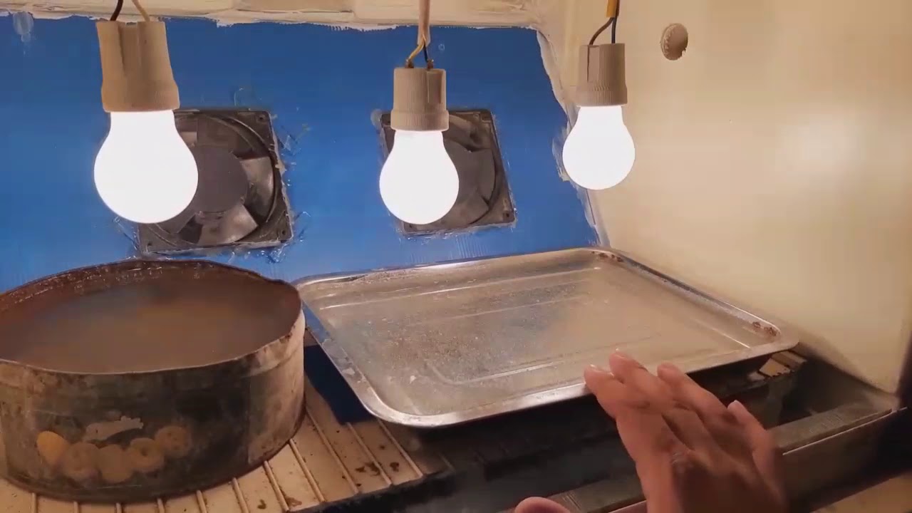 عدنا من جديد # 👋 صنع فقاسة جديدة من هيكل ثلاجة