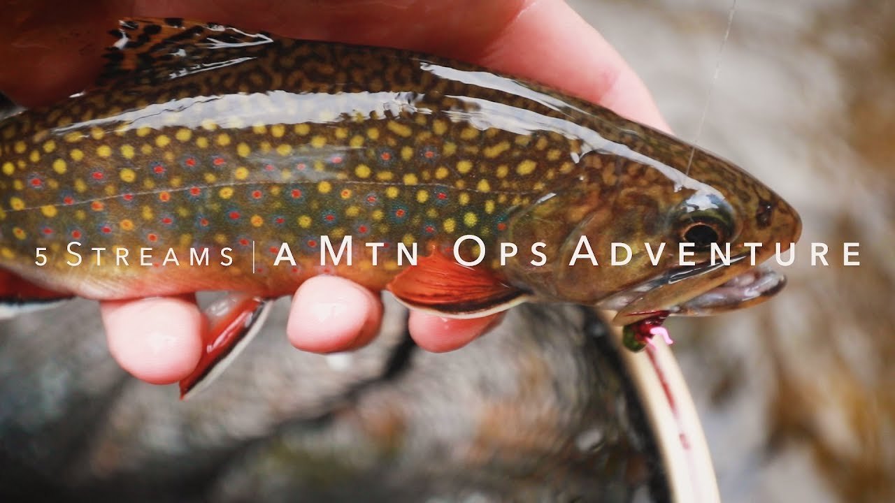 5 Streams | A Mtn Ops Adventure