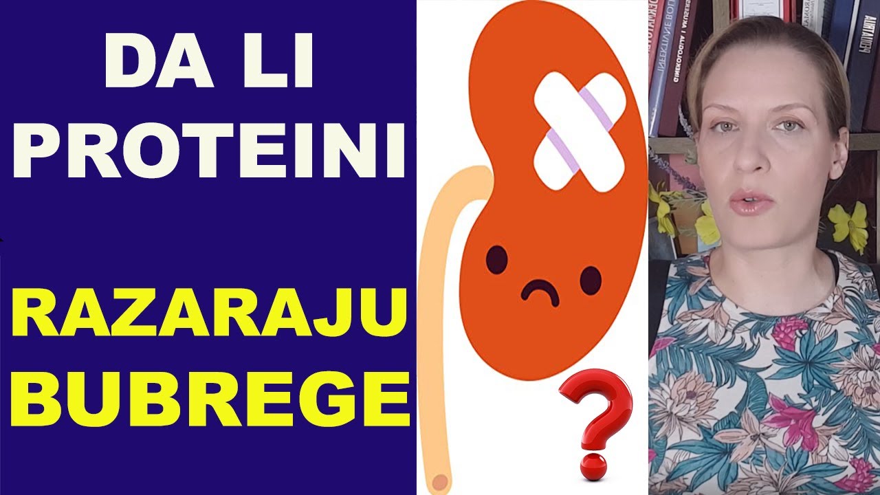 Da li PROTEINI oštećuju BUBREGE/#4/Karnivor dijeta/ dr Bojana Mandić