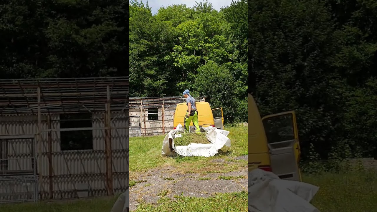 🌞Rasen m&auml;hen😆✌️ #rasenm&auml;hen #rasenm&auml;her #benzinrasenm&auml;her #gartenarbeit #rasenpflege #m&auml;hen