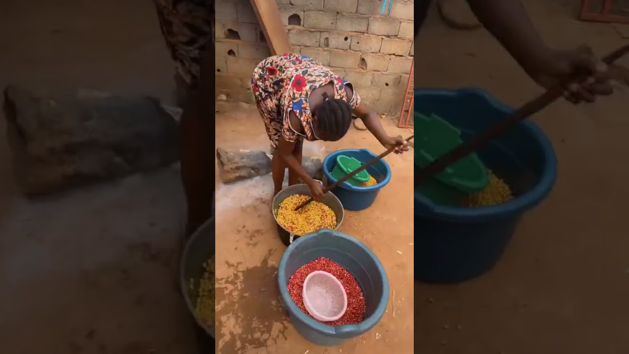 Cornchaff précuit à vendre