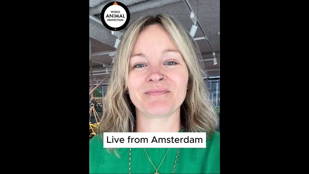 World Animal Protection on the ground in Amsterdam | The Future of Food and Beverage