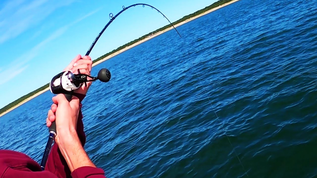 Jig Fishing Tutorial Trip - INSANE Bite Near Beach Double+ Limit!