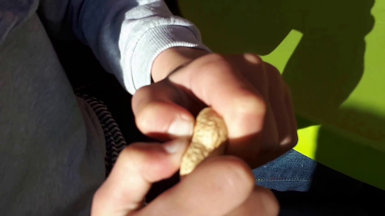 Cracking peanut shell