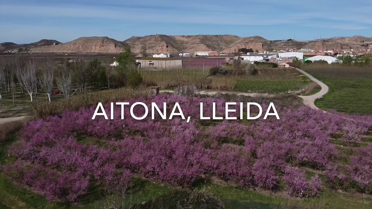 Aitona, Lleida