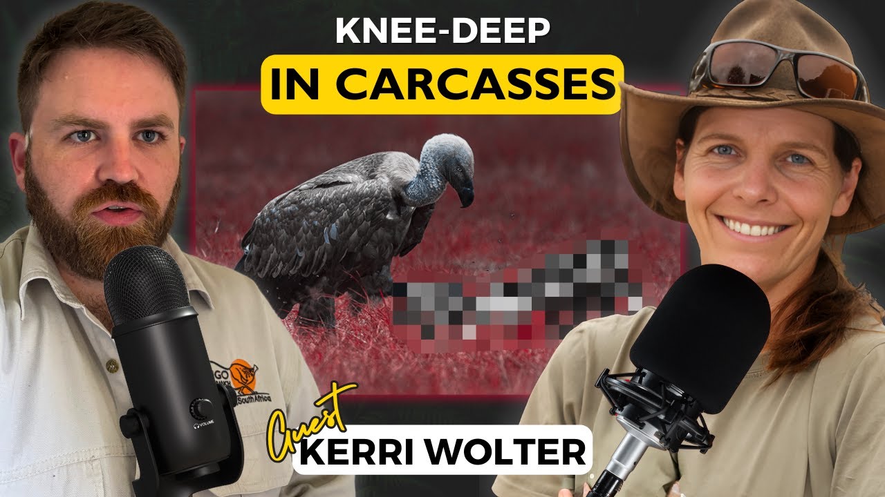 Knee-Deep in Carcasses: Why We Need Vultures – With Kerri Wolter from VulPro